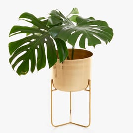 imagen_zara_home