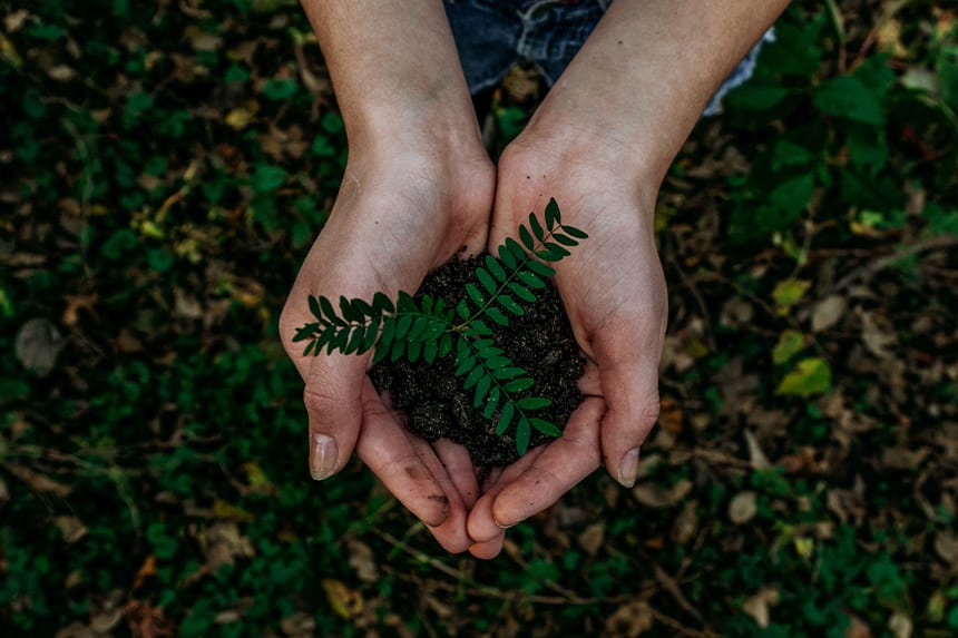 día mundial del medio ambiente actividades intu xanadú día mundial del medio ambiente actividades intu xanadú