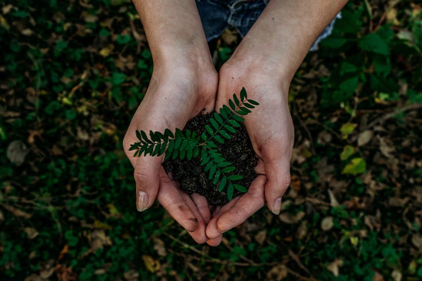 día mundial del medio ambiente actividades intu xanadú