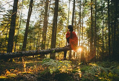 día mundial del medio ambiente