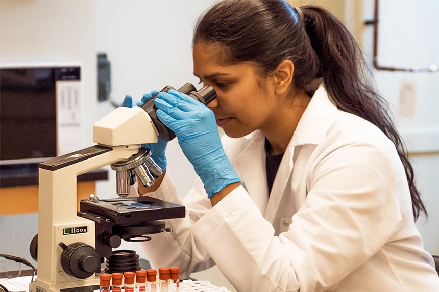 mujeres en la ciencia mujeres en la ciencia