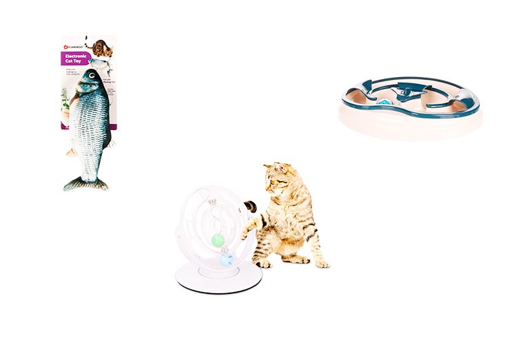 juguetes para gatos juguetes para gatos