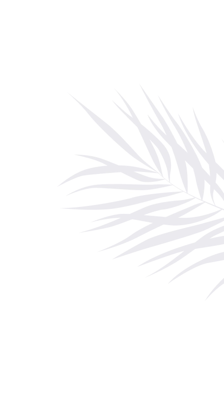 adorno vegetal