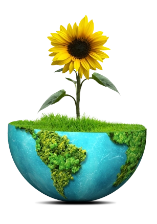 mundo flor 1